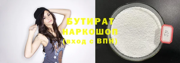 сатива Грязовец