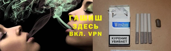 сатива Грязовец