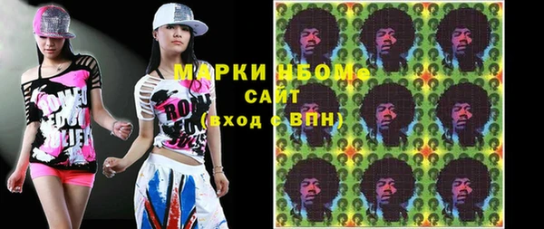 сатива Грязовец
