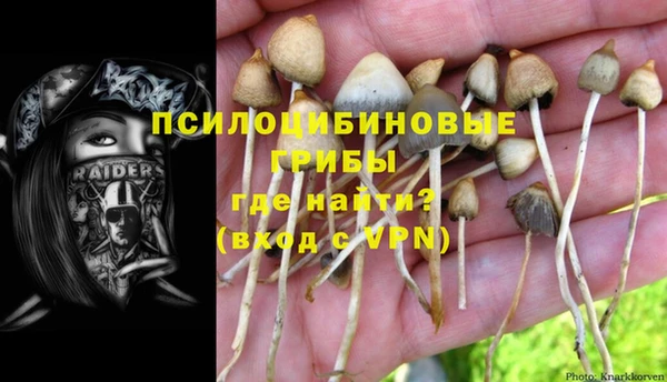 каннабис Пестово