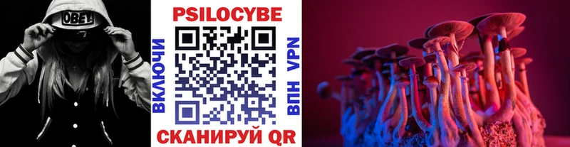 Псилоцибиновые грибы Psilocybine cubensis  Спас-Клепики 